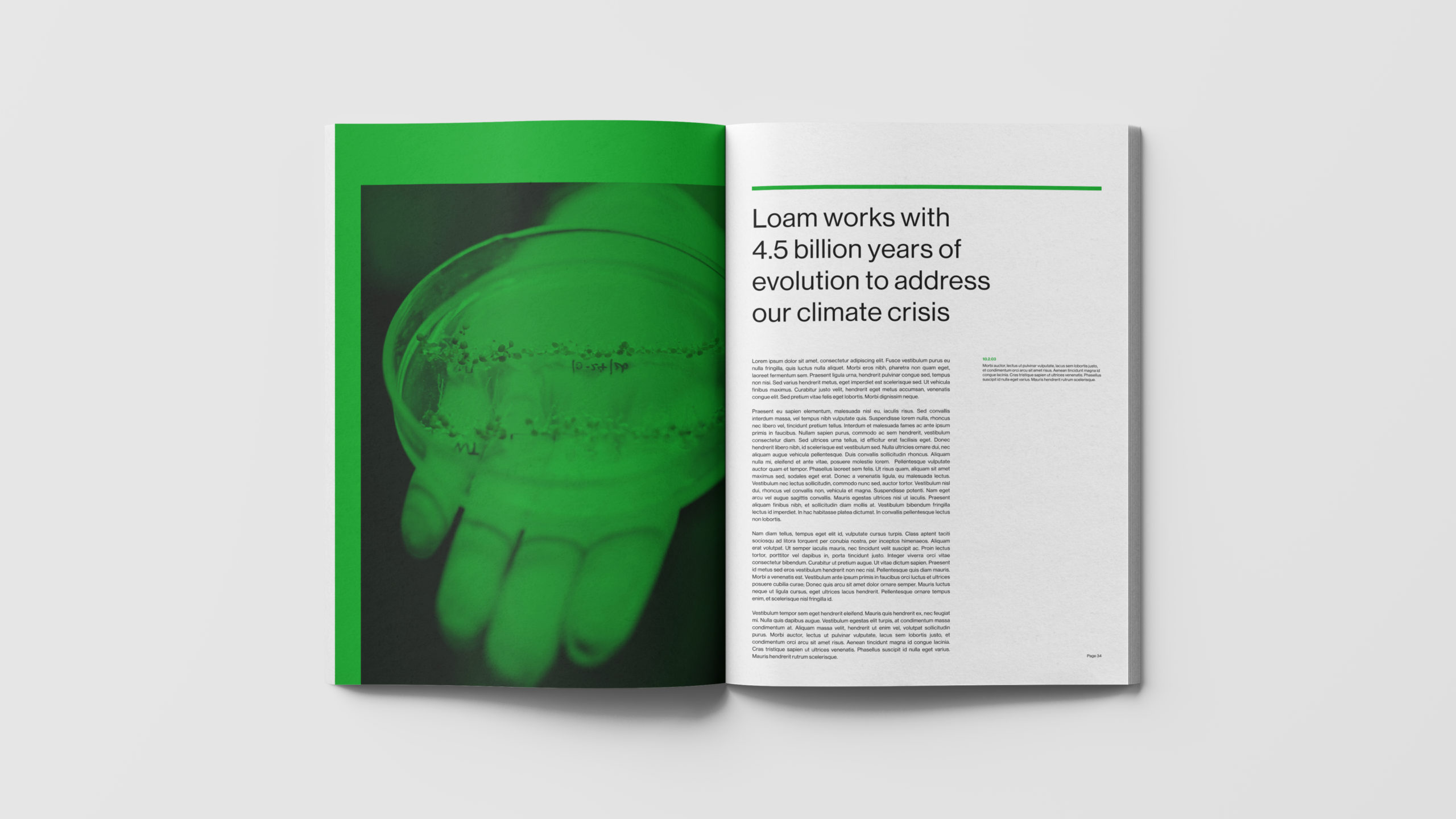 LOAM-Report-02